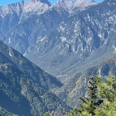 Nemesis Апартаменты *